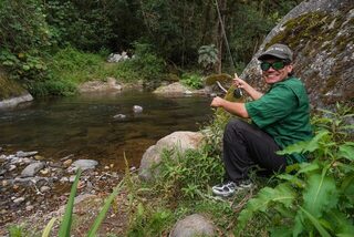 Горная речка Коста-Рики: нахлыстовая форель вернулась в воду