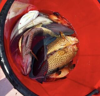 Рача на Malinda: однодневный выход с готовыми снастями и наживкой