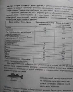 В Северодвинске провели выходной на рыбалке со старыми друзьями