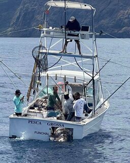 Мадейра и голубой марлин: выход команды Pesca Grossa с крупным уловом