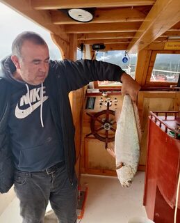 Небольшая морская рыба попадалась нам у Чамьювы с лодки