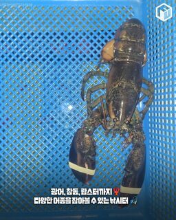 Крытая рыбалка Пусана: часы, аренда снасти и приготовление пойманного