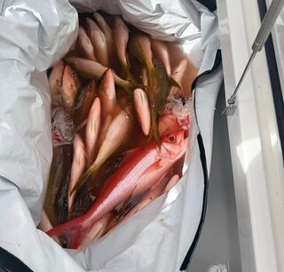 Детские рыбалки с отцом - память о моряке корейского флота