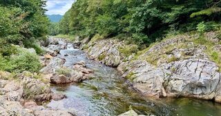 Первая рыбалка в Корее принесла симу и ленка, а запомнилась разговорами