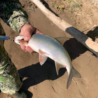 В Астраханскую область за рыбалкой: наш выезд к воде