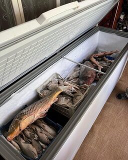 На рыболовный выезд отправились в Астраханский край