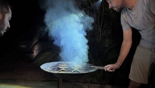 У сицилийских камней поймали морского хищника на пилькер