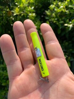 За павлиньим окунем на Тайване с Bruxa51 и WildLures KeyBow F