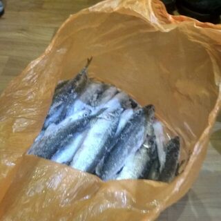 Подледный выход с друзьями на Сухое море за корюшкой и навагой