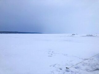 Четвертое января на Сухом море: один сиг и день у лунок