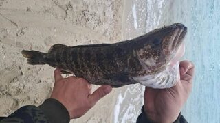 Подводная рыбалка Артура и отдых на Каспийском море