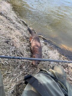 В астраханских водах Каспия рыбачили у Камызяка