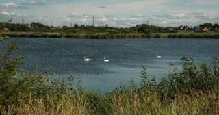 Летнюю рыбалку под Калининградом провели за городом