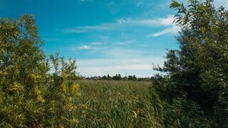 Летнюю рыбалку под Калининградом провели за городом