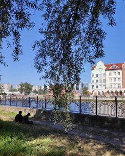 Сын ловил и отпускал рыбу у острова Канта, а мы слушали рыбаков