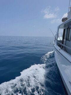Третий выход 2026 года на Коралловое море и памятная ремора