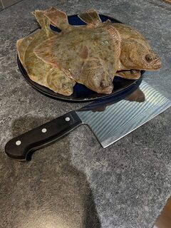 На КамбалаТур у Куршской косы съездили не зря: балтийская рыбалка понравилась