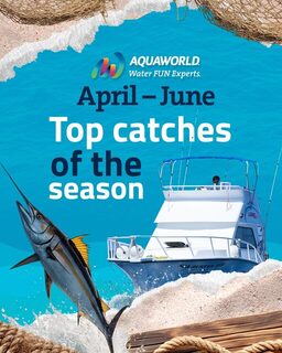 Канкун в апреле-июне: сезонный перечень рыб от Aquaworld
