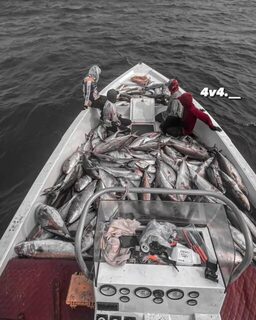 Полная лодка морского улова у побережья Дофара в Омане