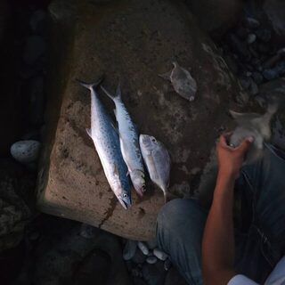 На море Кортеса выбрались на рыболовный день