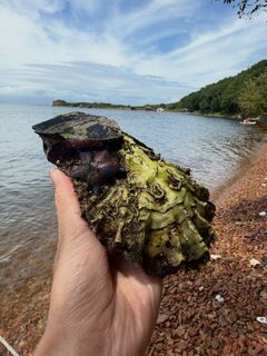 Японское море: наш рыболовный выход