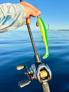Щука 11,3 кг на Рыбинке и Choppy Tail 18 см в новом цвете