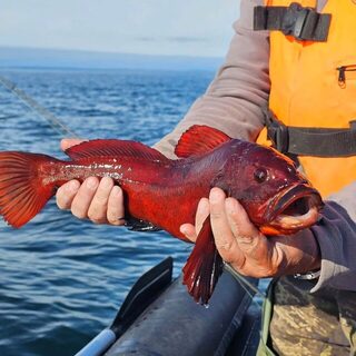 Сахалин: рыболовная поездка на Охотское море
