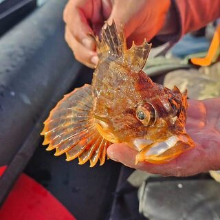Сахалин: рыболовная поездка на Охотское море