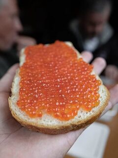 Палтус 75 кг и сивучи Монерона в воспоминаниях о Сахалине