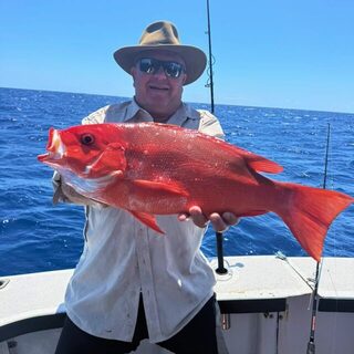 Blue Whaler снова на рифе: возвращение к турниру PACCAR в Кэрнсе