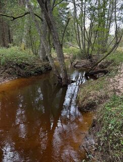 Холодная вода латвийской реки: последние забросы за дикой форелью