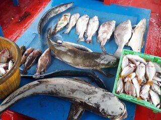 Команда Э вместе с капитаном Се выбралась на рыбалку у Самета