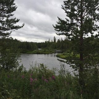 С друзьями съездили к Белому морю ради впечатлений и рыбалки