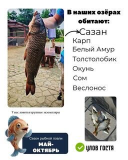 Озёра в Артёме приглашают на рыбалку на Приморском кольце, 6