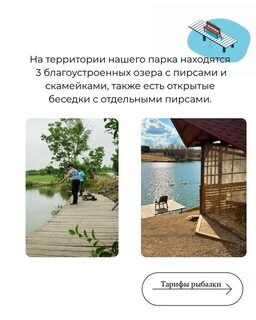 Озёра в Артёме приглашают на рыбалку на Приморском кольце, 6