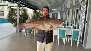 Средиземноморский групер из рыбалки у турецкого Калкана