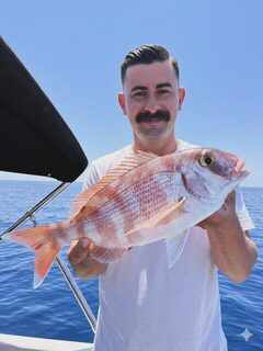 Морской выход у Калкана с крупной красноватой рыбой