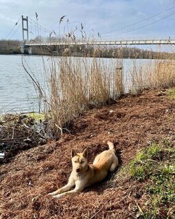 Поти: на рыбалке у нас всегда находилась компания