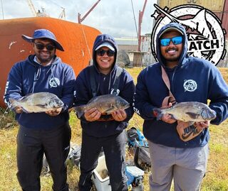 Кейп-брим команды Big Catch на открытом дне порта Кейптауна