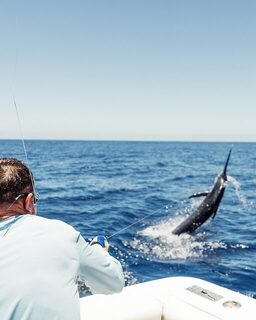 Долгожданная Ла-Гомера: на воду вышли с Noalex Sportfishing