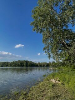 На первой рыбалке на Кубани муж взял шесть рыб, вечером их пожарили