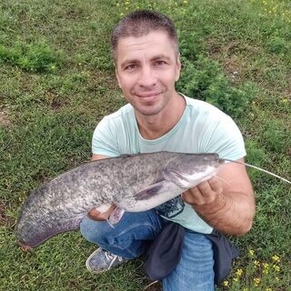 На Кубани за два выхода взяли семь сомов и толстолоба на кастмастер