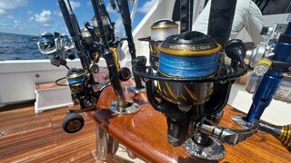 Бимини: yelloweye с тысячи футов и желтохвостые снэпперы на рифе