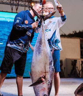Bluefin Çeşme 2026 завершился в марине Чешме после сложной погоды