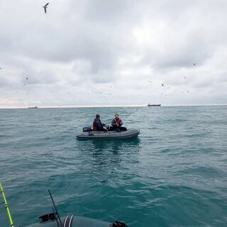 У Мысхако на морской рыбалке ловили сельдь и ставриду