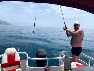 Из моря у Дюрсо подняли сразу несколько рыб на леске
