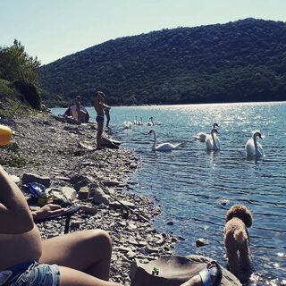 Семейная рыбалка в Абрау-Дюрсо прошла весело, но без рыбы