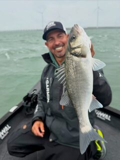 Сибас Северного моря: первая целевая ловля на приливной воде