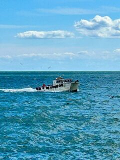 Из Арброта вышли в солнечное Северное море с ветеранами из Данди