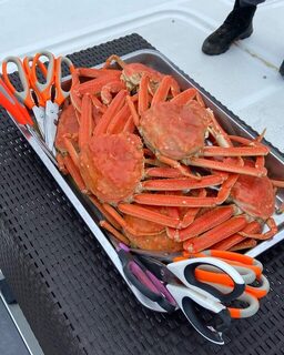 Морской рыбалкой занялись в Авачинской бухте на Камчатке